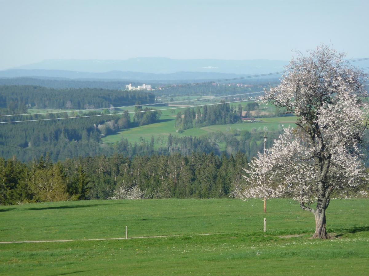 Hoehenpension Glashuette Bed&Breakfast Fruehstueckspension Hotel Garni Bonndorf im Schwarzwald Eksteriør bilde